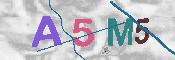 Obrazek CAPTCHA