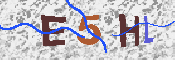 Obrazek CAPTCHA